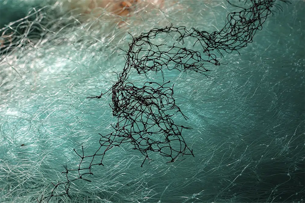 Maritime waste1