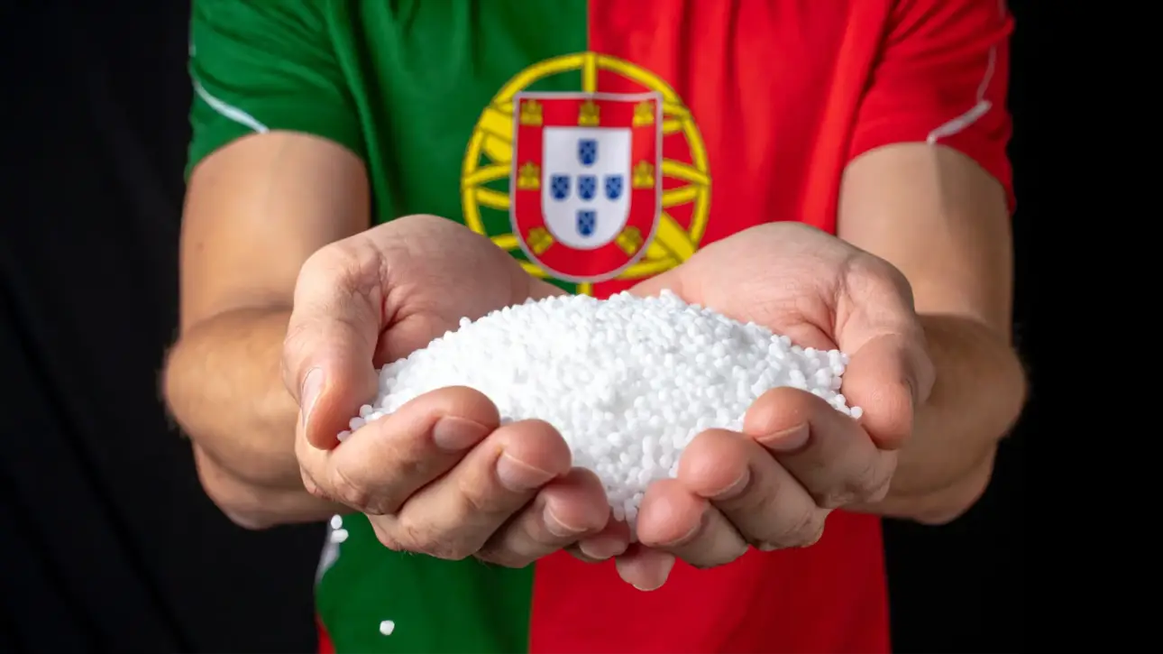 Public Waste Management Policies: Examples of Leadership in Portugal, Europe and the World