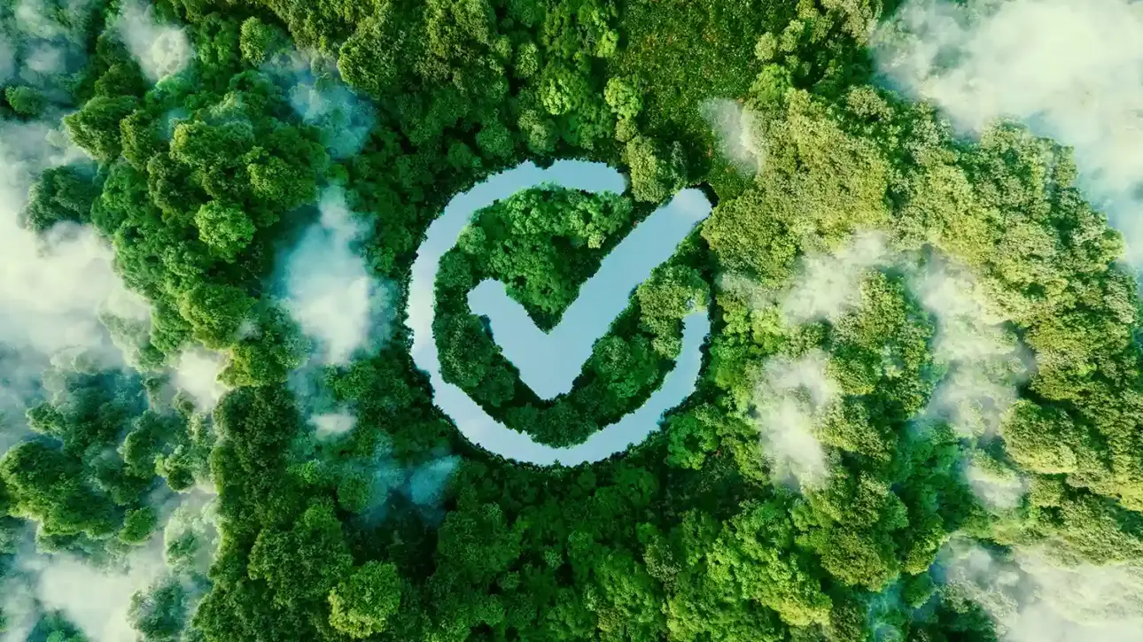 cloud forest and environmental certification designed with water