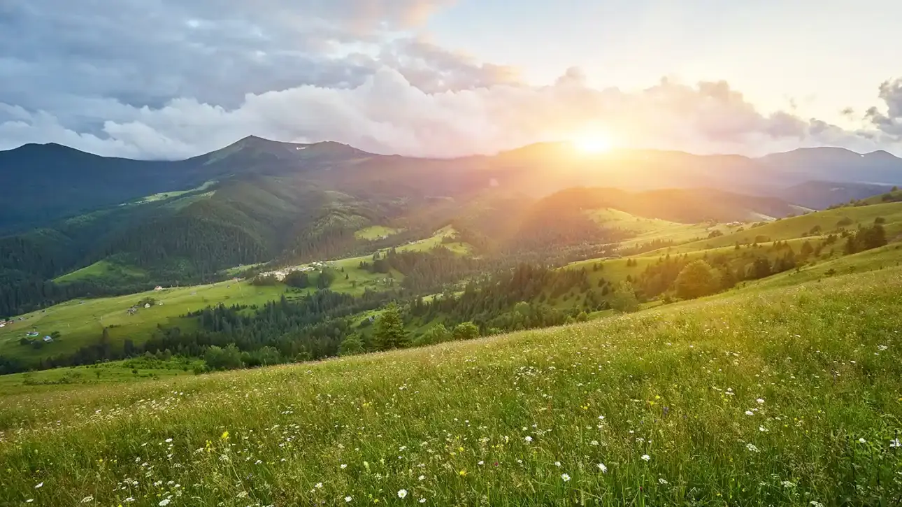 nature conservation and circular economy day