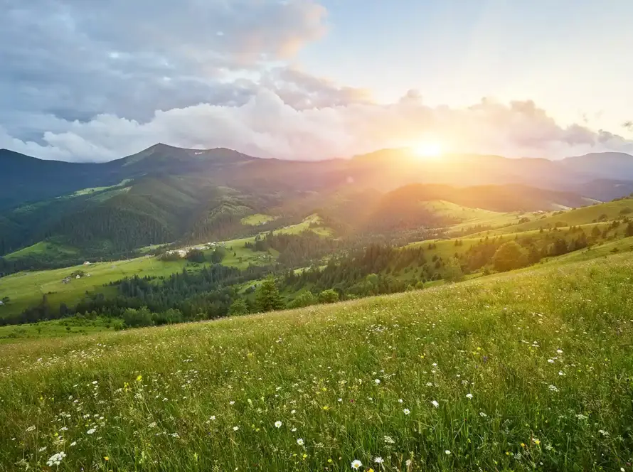 journée de la conservation de la nature et de l'économie circulaire